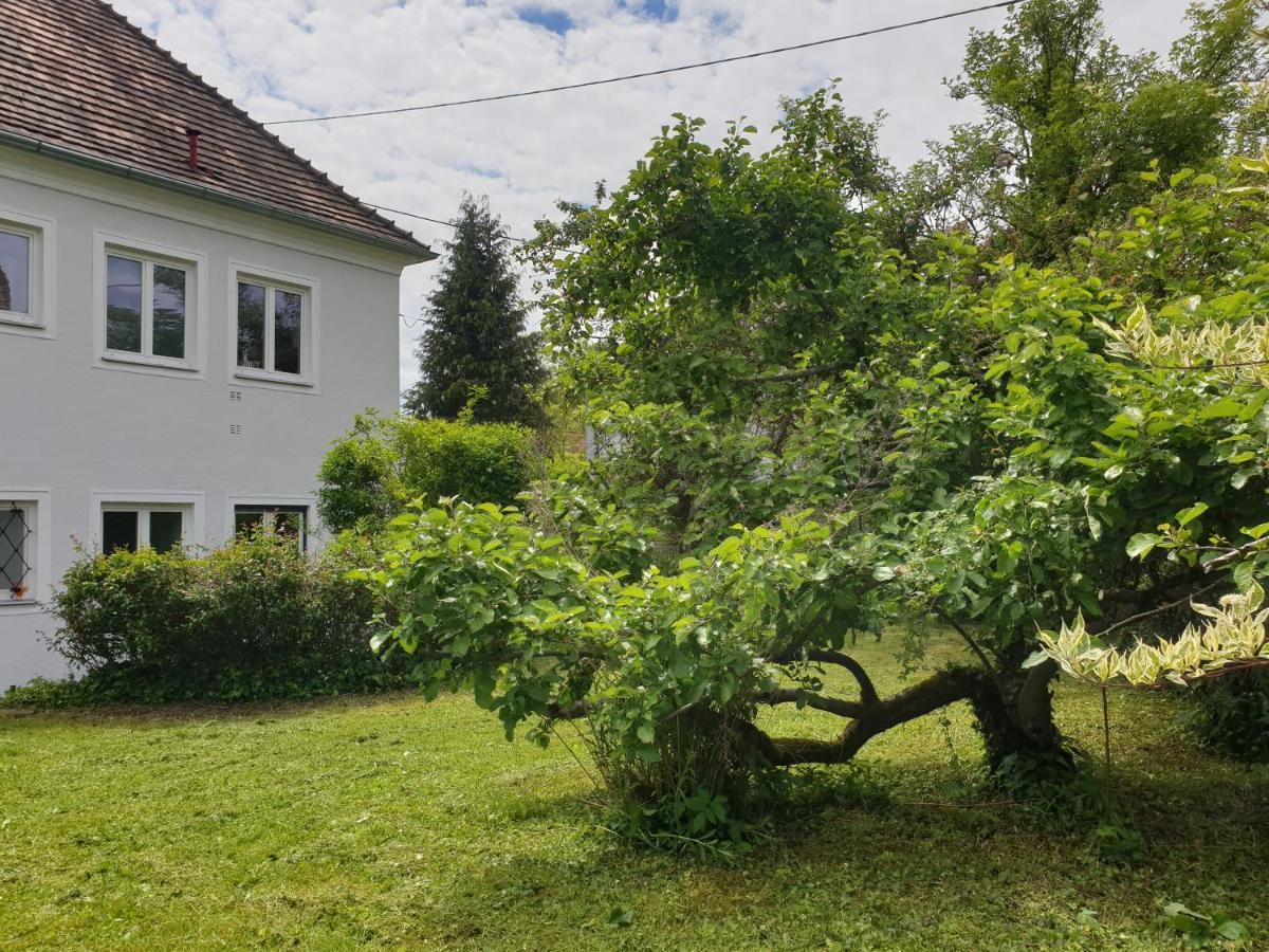 Family Apartment Linz Wohnen Mit Garten Am Fusse Des Poestlingbergs Top Lage Villenviertel Exterior foto